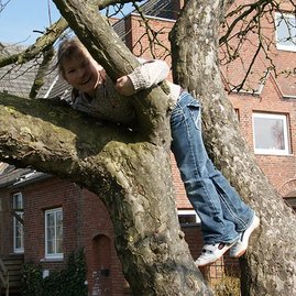 Kind auf Baum